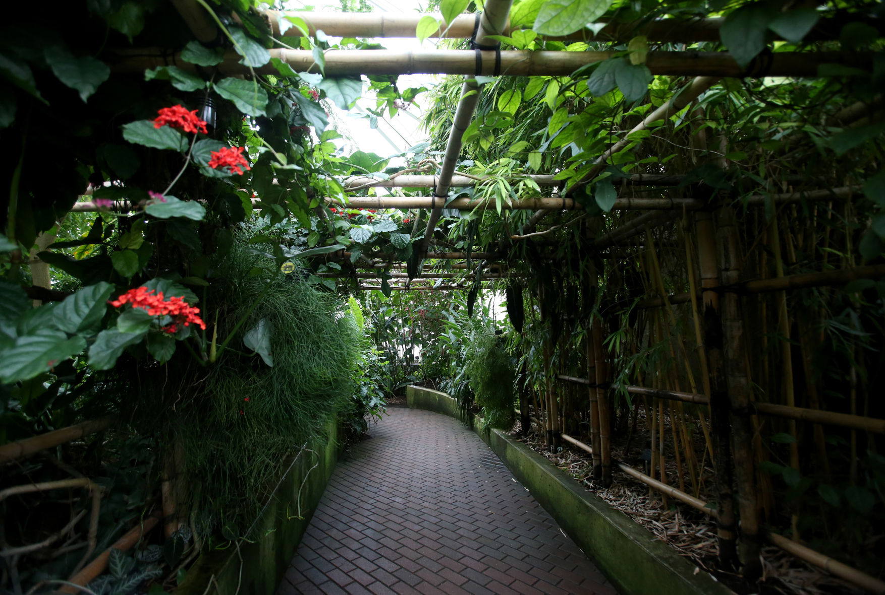 Warm up in the Bolz Conservatory at Olbrich Botanical Gardens